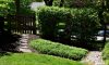 Looking for a hassle-free way to keep your lawn looking its best?