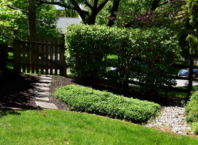 Looking for a hassle-free way to keep your lawn looking its best?