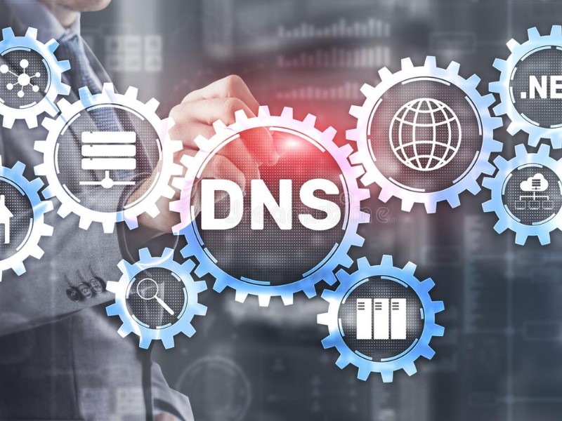 choose a high-quality web hosting provider of DNS