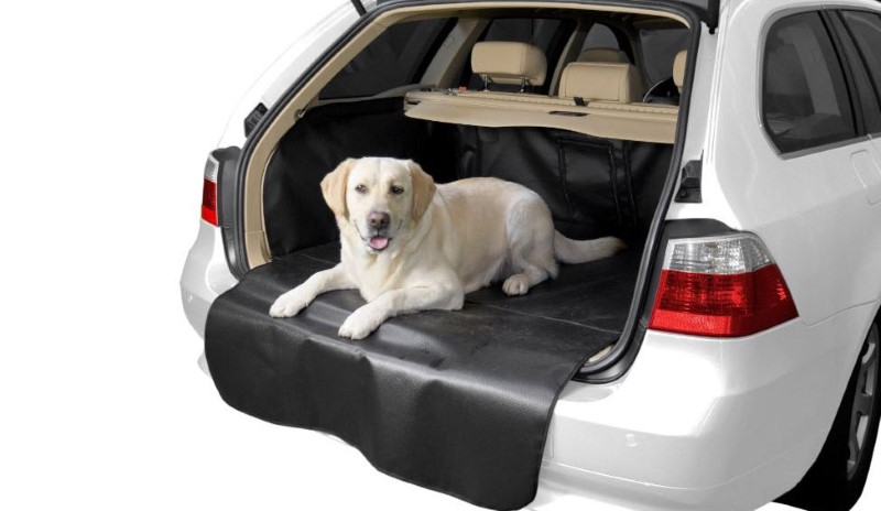 Bootector trunk protection