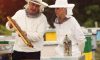 Tips for Buying Used Beekeeping Equipment