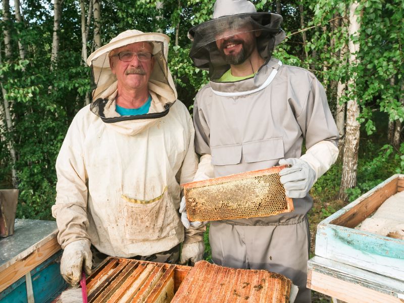 Beekeeping equipment - suits