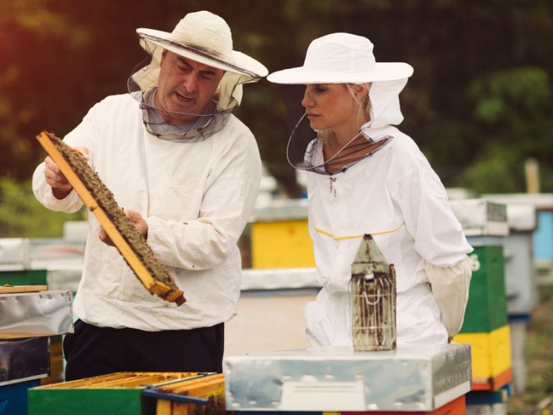 Beekeeping equipment