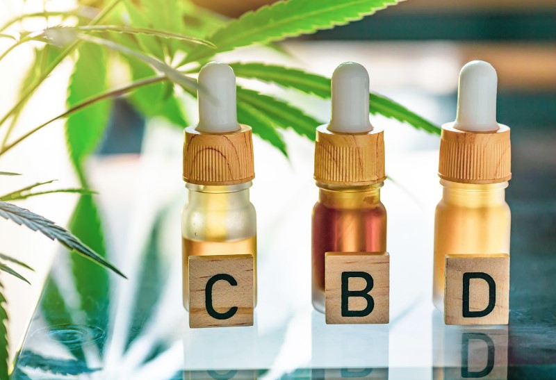 CBD Oil Basics You Should Know